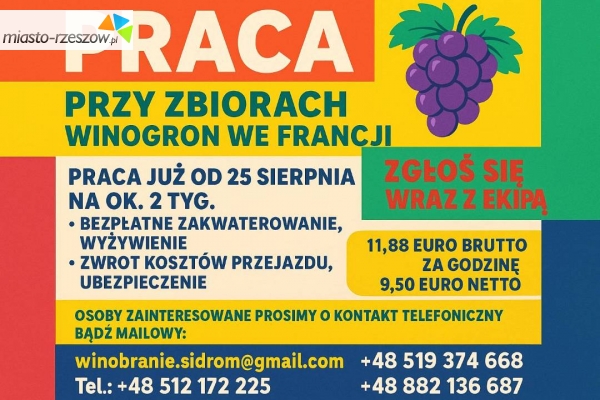 ogłoszenia rzeszów