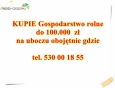Wynajmę na długi okres a najchętniej kupie kupie gospodarstwo rolne najlepiej na uboczu dom z gruntem działką plus ewentualnie zabudowania gospodarcze w cenie do 100 tys zł lub trochę droższe ale z opóżnioną płatnością o pół roku do 1 roku najpóżniej jeśli to możliwe to proszę o zdjęcia i podanie in