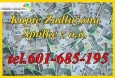Kupię przejmę zadłużoną spółkę z ograniczoną odpowiedzialnością , akcyjną , jawną , komandytową - w absolutnie każdej sytuacji: finansowej , księgowej , leasingowo, kredytowej , pracowniczej , sądowej , upadłości, likwidacji , dla nas nie ma trudnych sytuacji . Notarialne odkupienie udziałów, akcji 