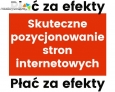 Skuteczne pozycjonowanie stron internetowych - P?a? za efekty