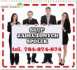 Nasza działalność opiera się na wdrożeniu planu restrukturyzacyjnego przeznaczonego zarówno dla osób prowadzących jednoosobową działalność gospodarczą, jak i dla spółek, pozwalającego na zachowanie możliwości kontynuowania działalności zadłużonego  przedsiębiorstwa. Wprowadzamy efektywne mechanizmy 