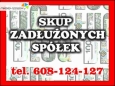 Zadłużona Spółka ? Ochrona podatkowa i JPK
