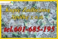 Funkcjonujemy na rynku obrotu spółkami od roku 1998. Przez ten długi okres, liczący kilkanaście lat udało nam się pomóc   wielu podmiotom w wybrnięciu z krytycznych sytuacji, które spowodowane były działaniami organów podatkowych, skarbowych czy   nieuczciwych Kontrahentów www.fabrykakreatywna.com t